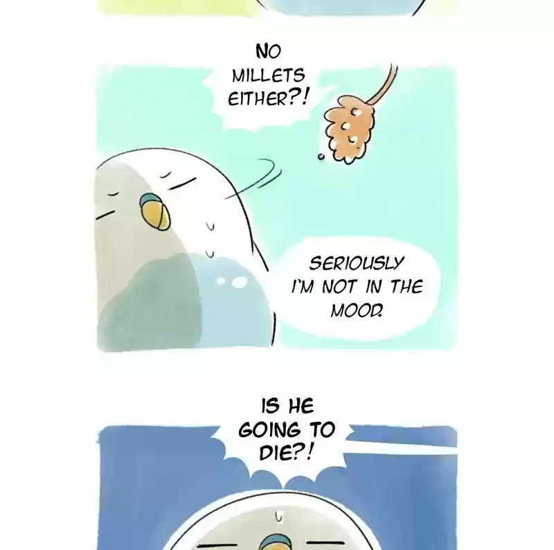 A Budgie's Life Chapter 77: Ep.77: