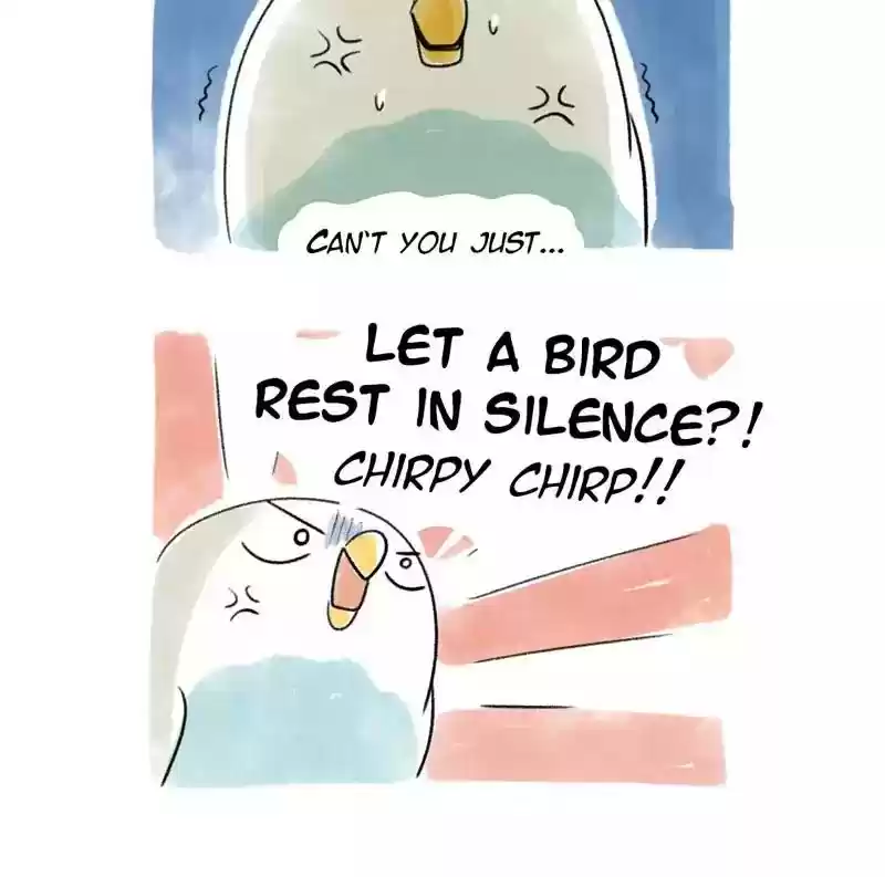 A Budgie's Life Chapter 77: Ep.77: