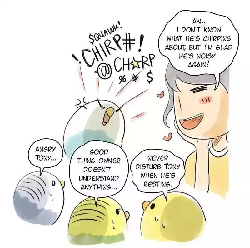 A Budgie's Life Chapter 77: Ep.77: