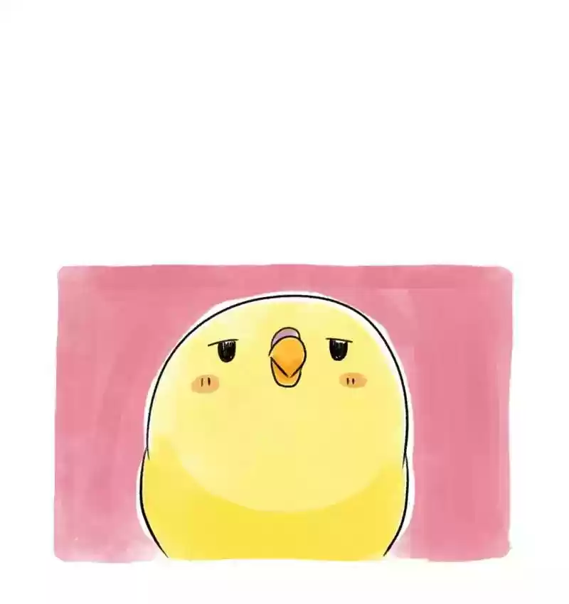 A Budgie's Life Chapter 78: Ep.78: