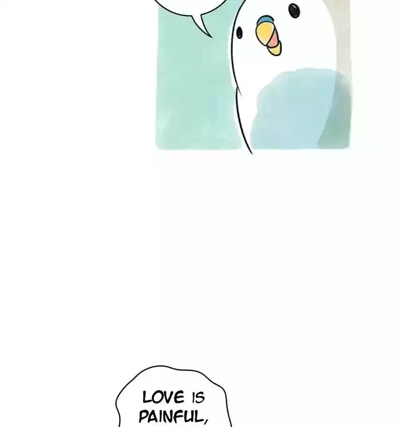 A Budgie's Life Chapter 78: Ep.78: