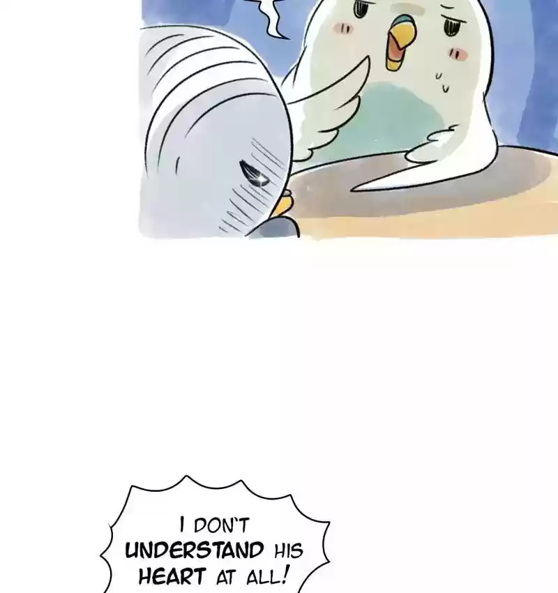 A Budgie's Life Chapter 78: Ep.78: