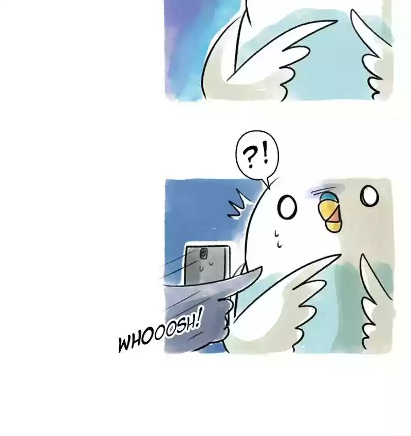 A Budgie's Life Chapter 78: Ep.78: