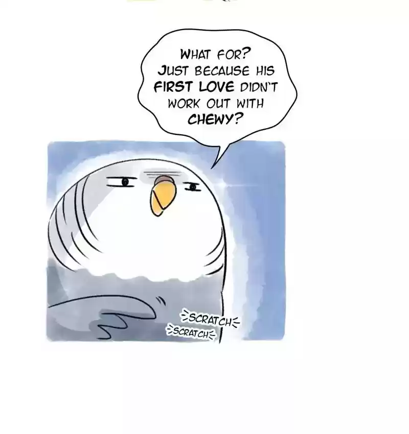 A Budgie's Life Chapter 78: Ep.78: