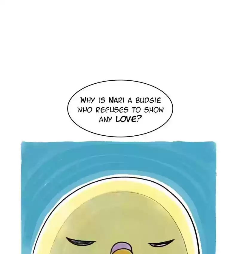 A Budgie's Life Chapter 78: Ep.78: