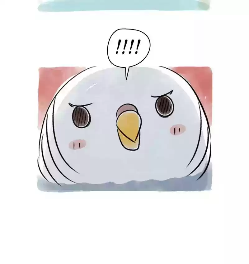 A Budgie's Life Chapter 78: Ep.78: