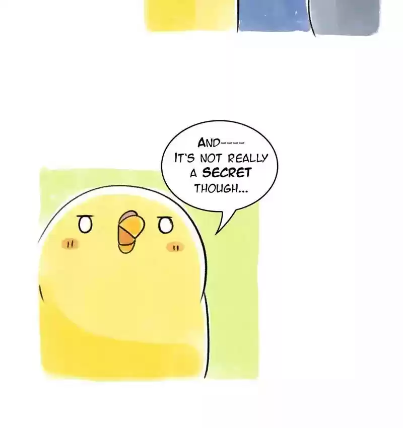A Budgie's Life Chapter 78: Ep.78: