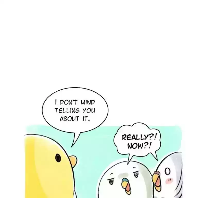 A Budgie's Life Chapter 78: Ep.78: