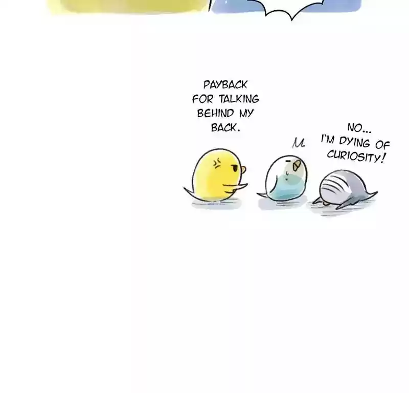 A Budgie's Life Chapter 78: Ep.78: