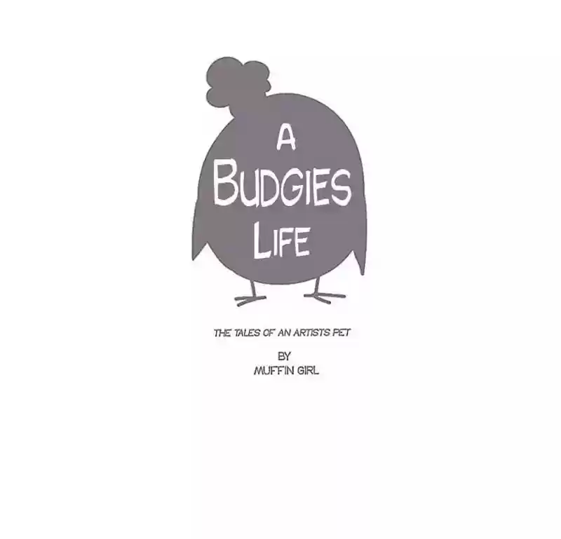 A Budgie's Life Chapter 78: Ep.78: