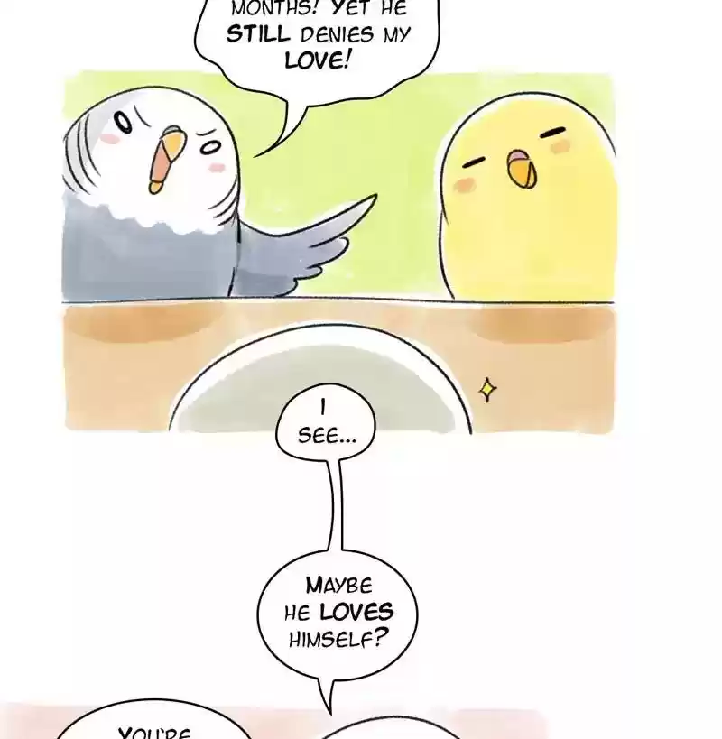 A Budgie's Life Chapter 79: Ep.79: