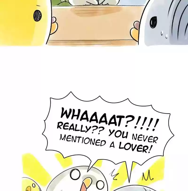 A Budgie's Life Chapter 79: Ep.79: