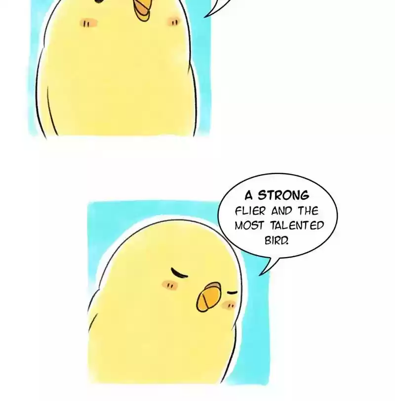 A Budgie's Life Chapter 79: Ep.79: