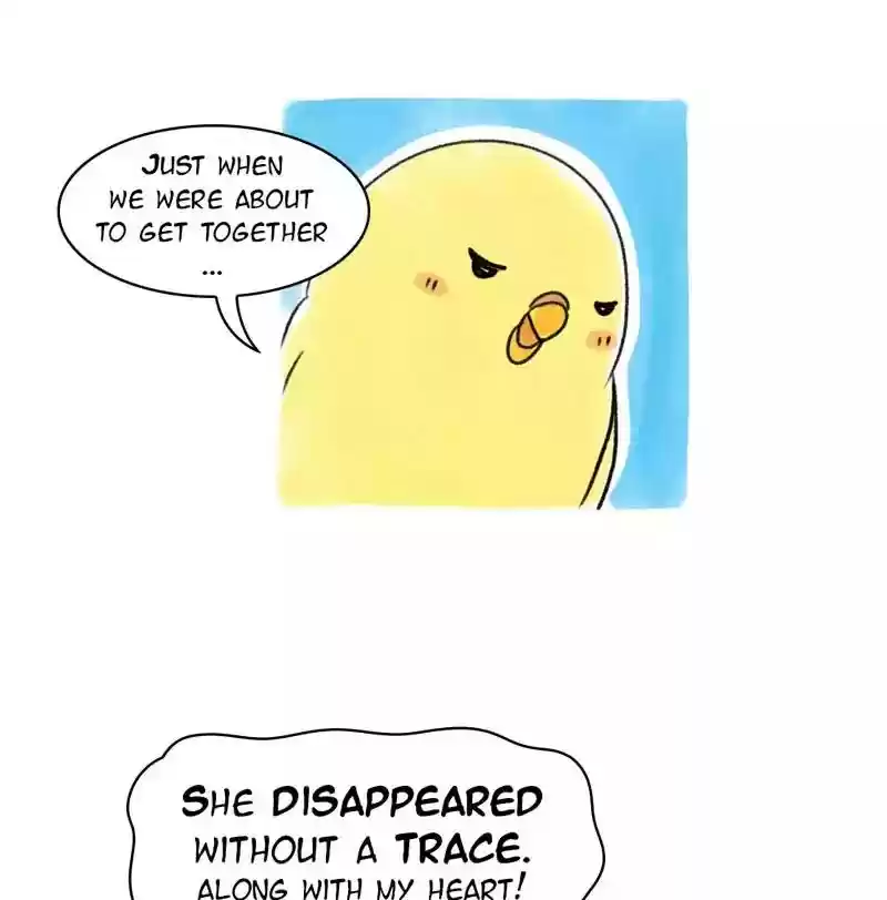 A Budgie's Life Chapter 79: Ep.79: