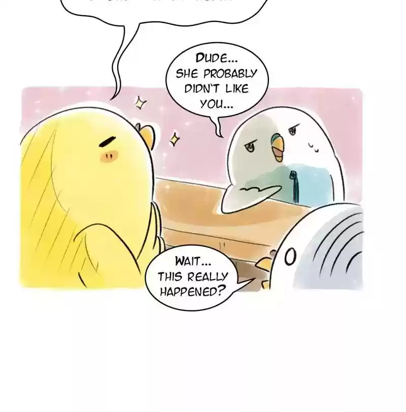 A Budgie's Life Chapter 79: Ep.79: