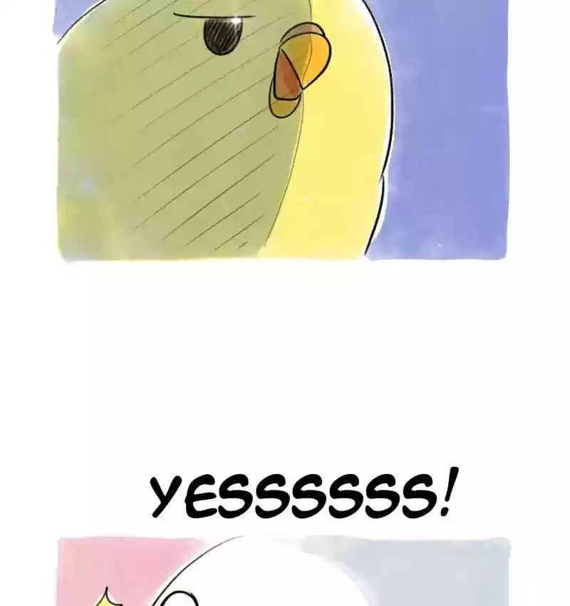 A Budgie's Life Chapter 79: Ep.79: