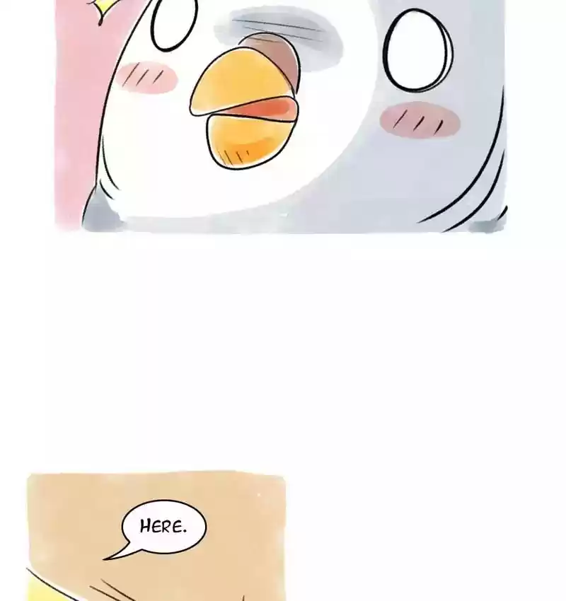 A Budgie's Life Chapter 79: Ep.79: