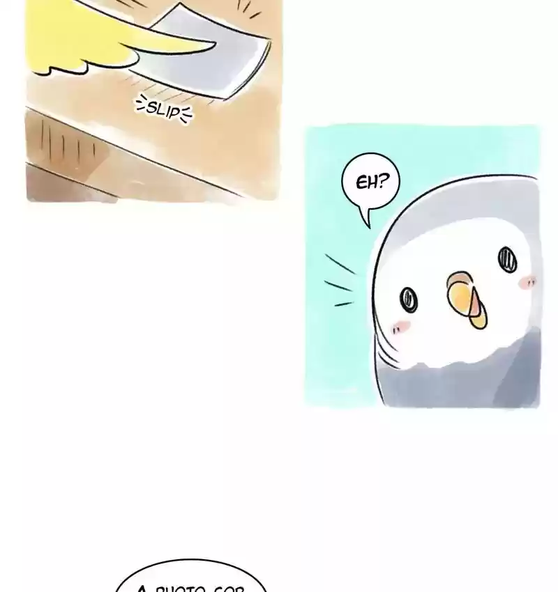 A Budgie's Life Chapter 79: Ep.79: