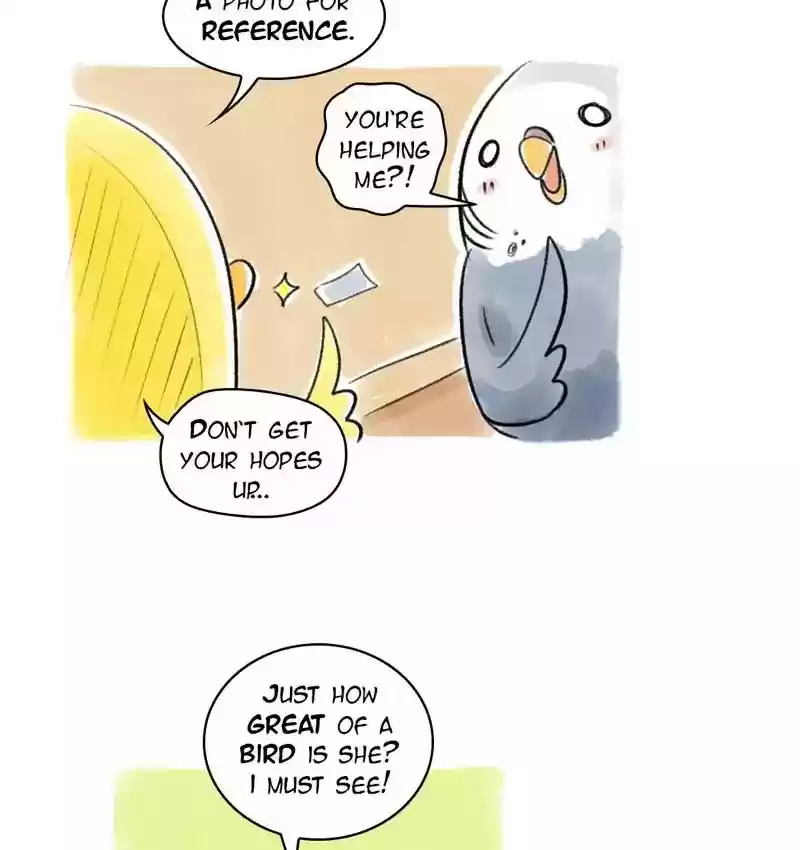 A Budgie's Life Chapter 79: Ep.79: