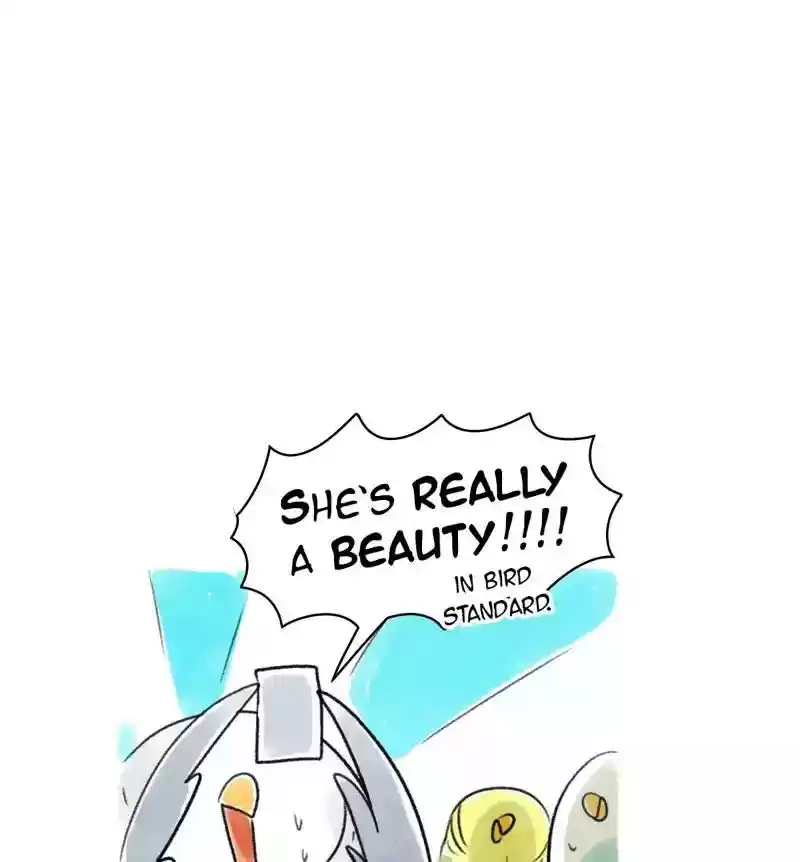 A Budgie's Life Chapter 79: Ep.79: