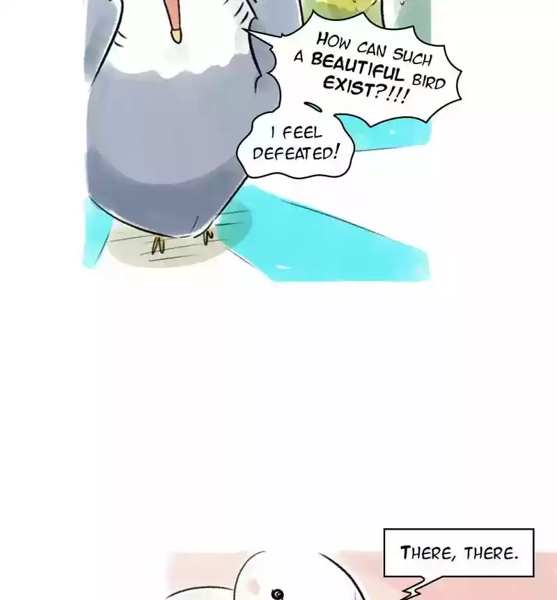 A Budgie's Life Chapter 79: Ep.79: