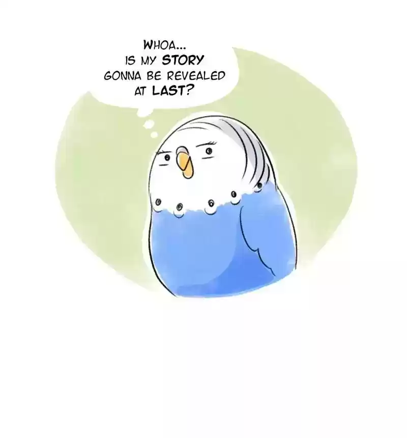 A Budgie's Life Chapter 79: Ep.79: