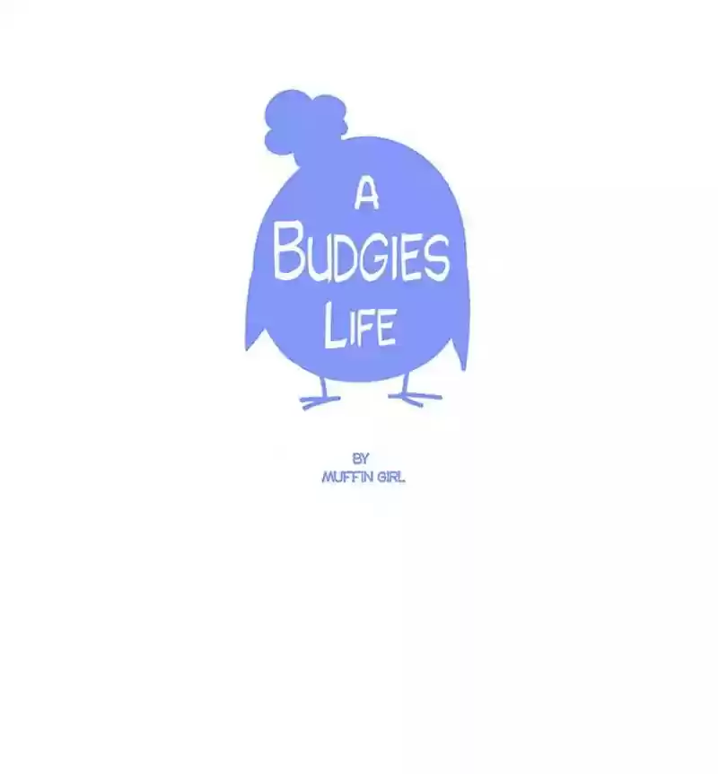 A Budgie's Life Chapter 79: Ep.79: