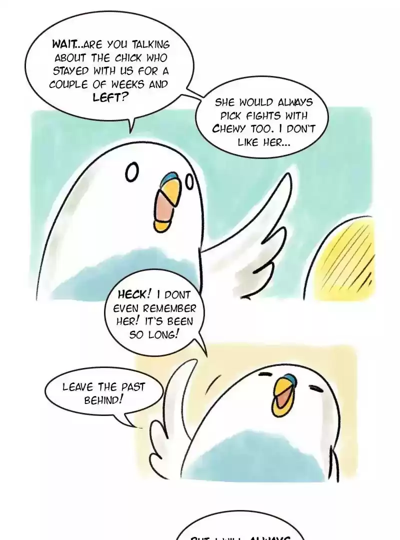 A Budgie's Life Chapter 79: Ep.79: