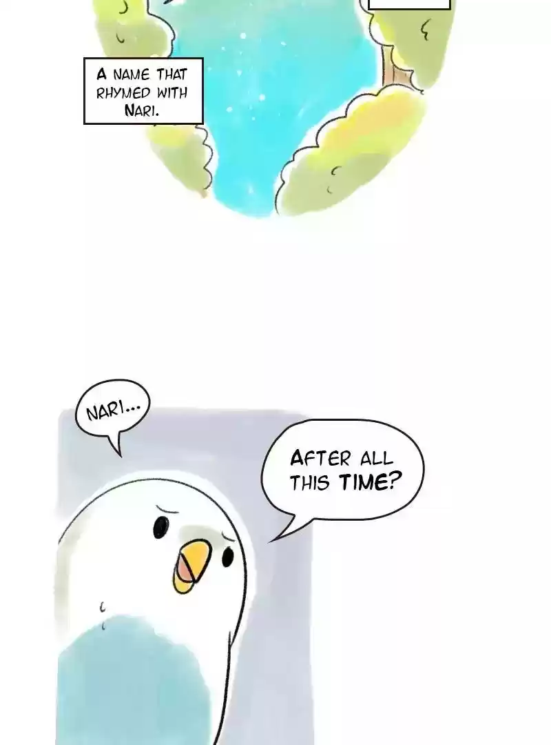 A Budgie's Life Chapter 79: Ep.79: