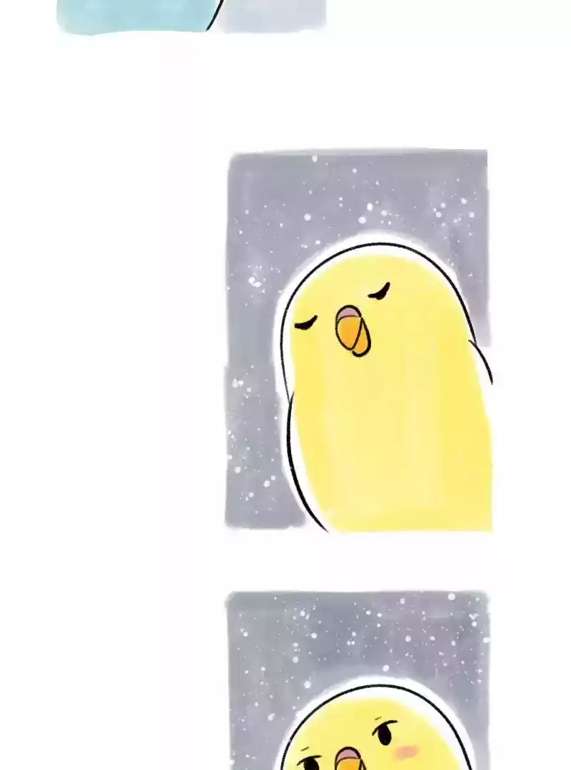 A Budgie's Life Chapter 79: Ep.79: