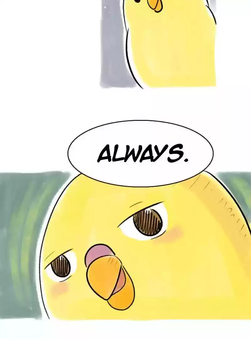 A Budgie's Life Chapter 79: Ep.79: