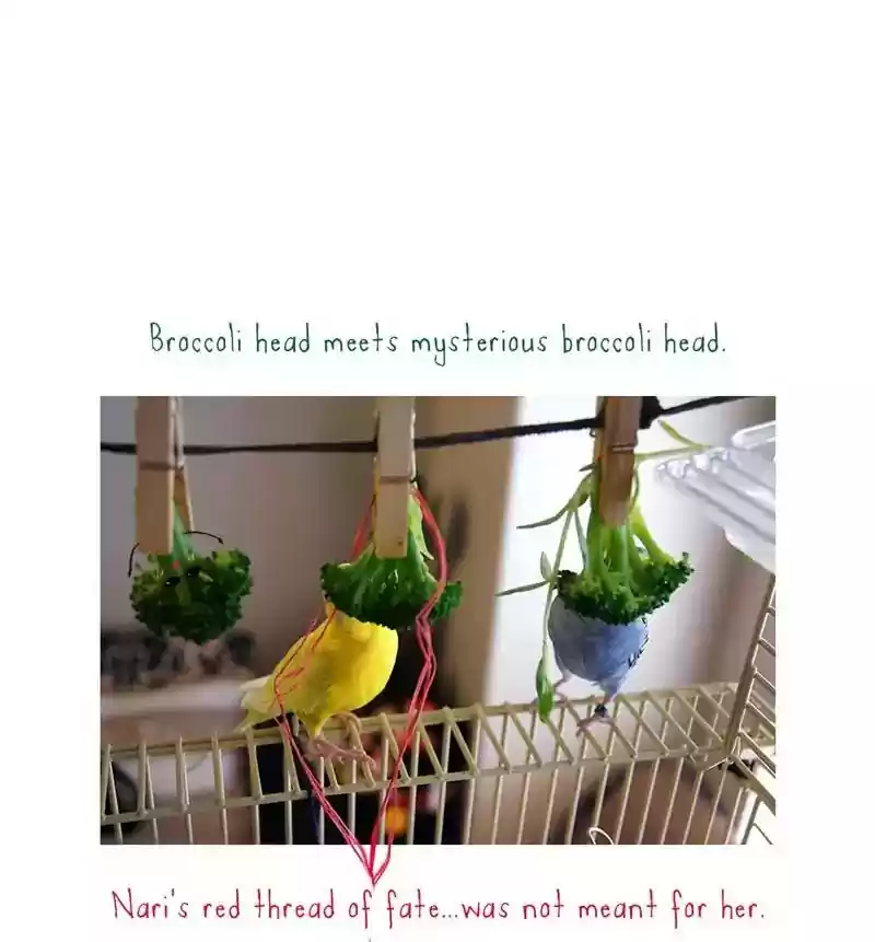 A Budgie's Life Chapter 79: Ep.79: