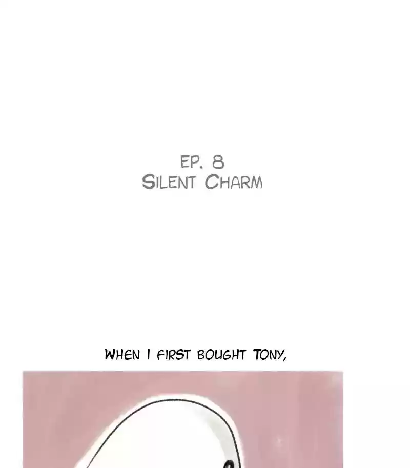 A Budgie's Life Chapter 8: Ep.8: