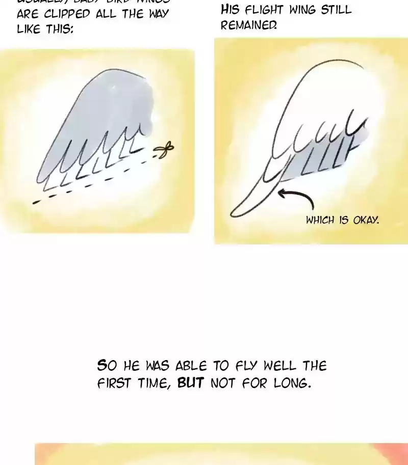 A Budgie's Life Chapter 8: Ep.8: