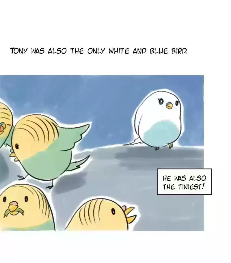 A Budgie's Life Chapter 8: Ep.8: