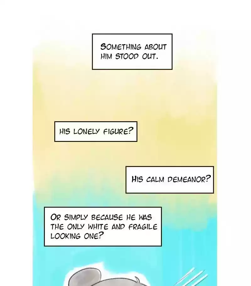 A Budgie's Life Chapter 8: Ep.8: