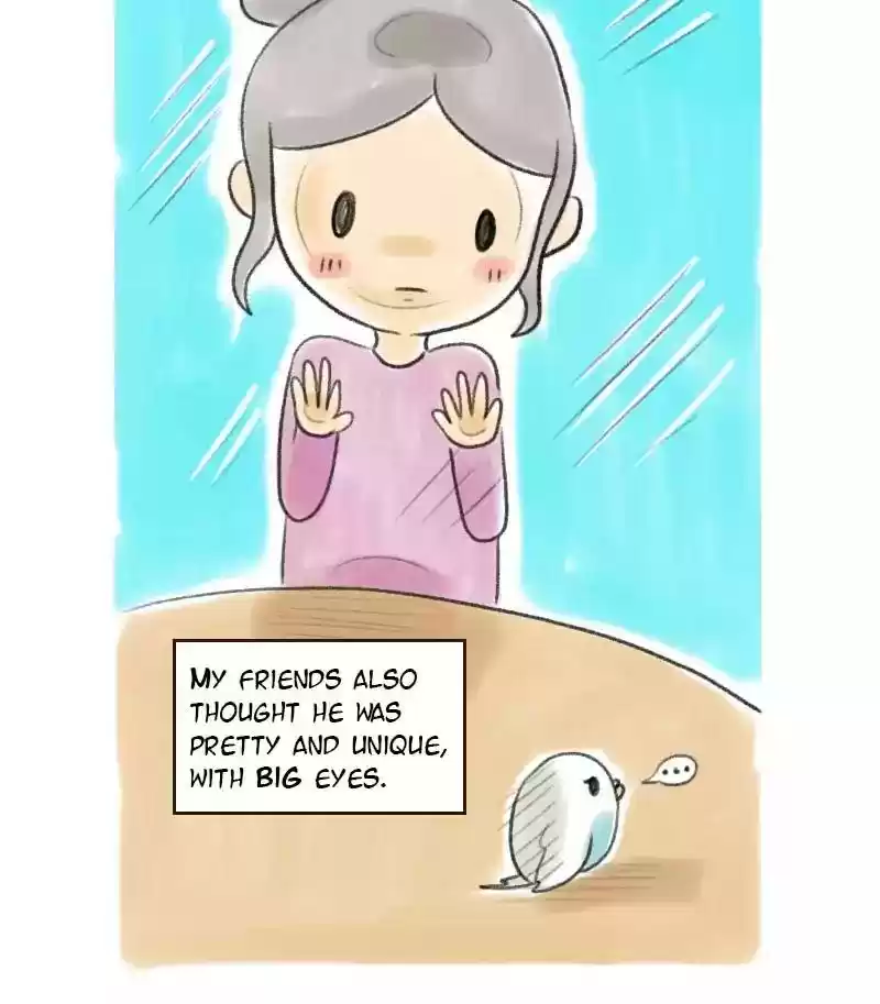 A Budgie's Life Chapter 8: Ep.8: