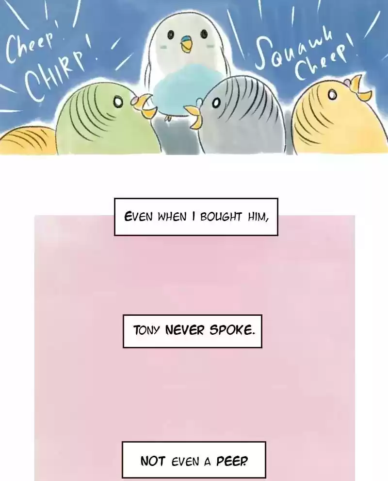 A Budgie's Life Chapter 8: Ep.8: