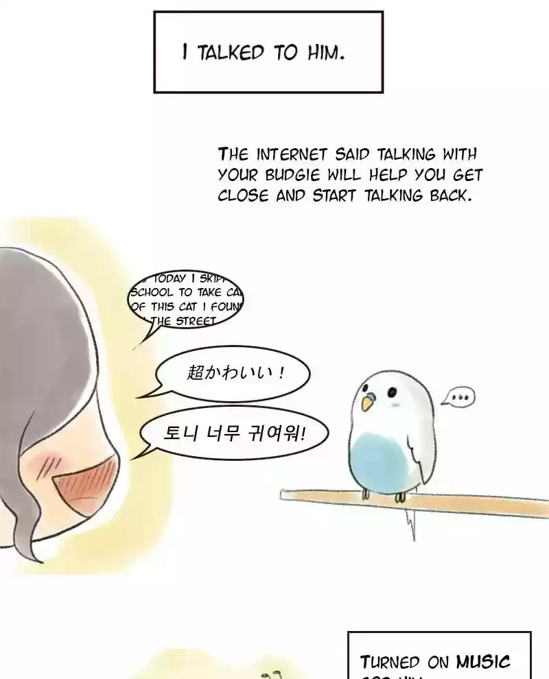A Budgie's Life Chapter 8: Ep.8: