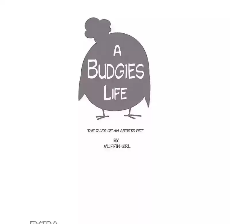 A Budgie's Life Chapter 8: Ep.8:
