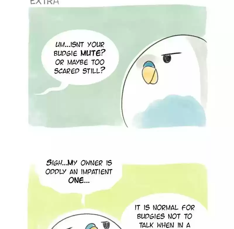 A Budgie's Life Chapter 8: Ep.8: