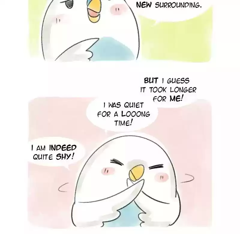 A Budgie's Life Chapter 8: Ep.8: