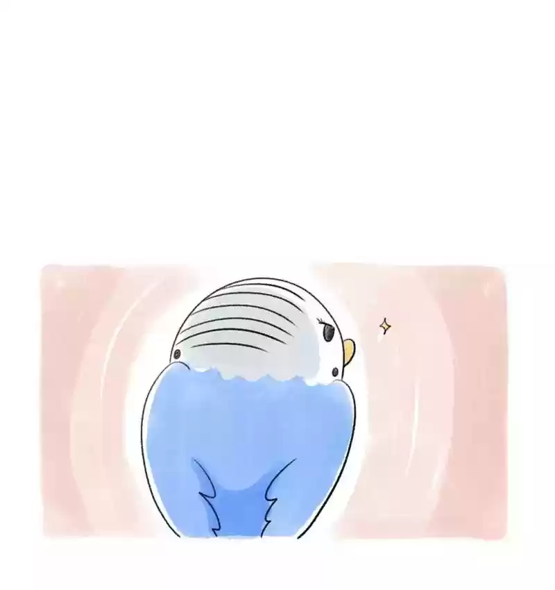 A Budgie's Life Chapter 80: Ep.80: