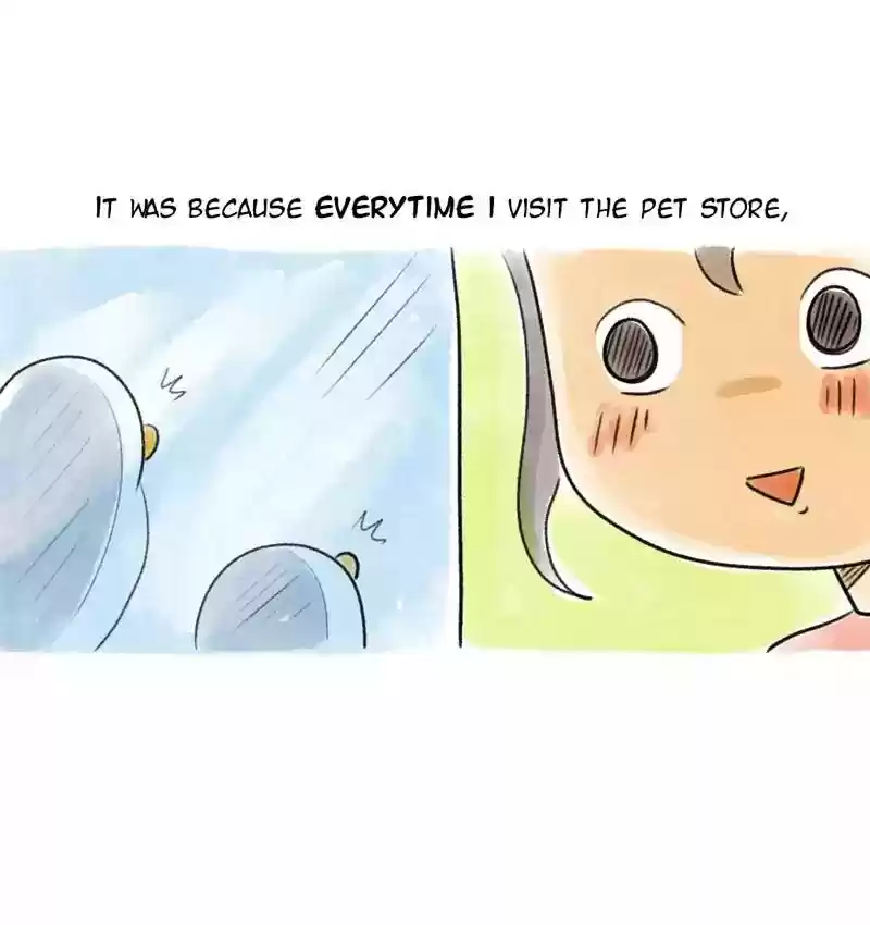 A Budgie's Life Chapter 80: Ep.80: