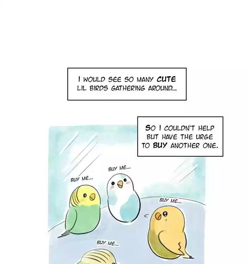 A Budgie's Life Chapter 80: Ep.80: