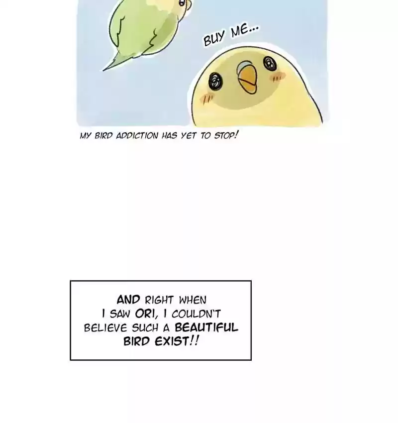 A Budgie's Life Chapter 80: Ep.80: