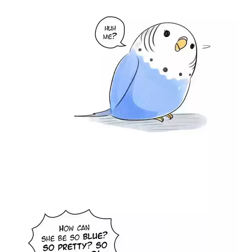 A Budgie's Life Chapter 80: Ep.80: