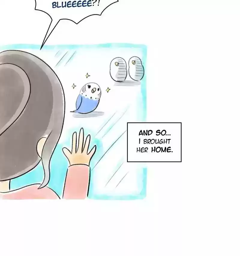 A Budgie's Life Chapter 80: Ep.80: