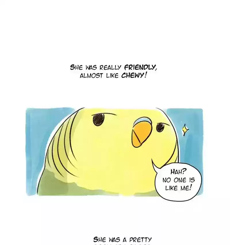 A Budgie's Life Chapter 80: Ep.80: