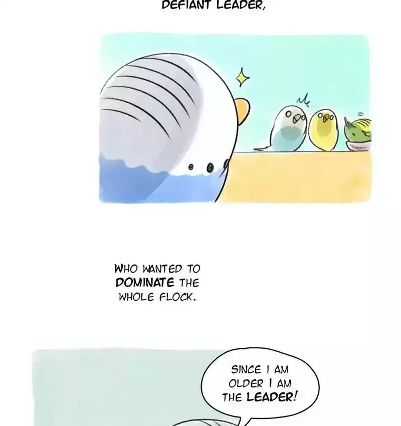 A Budgie's Life Chapter 80: Ep.80: